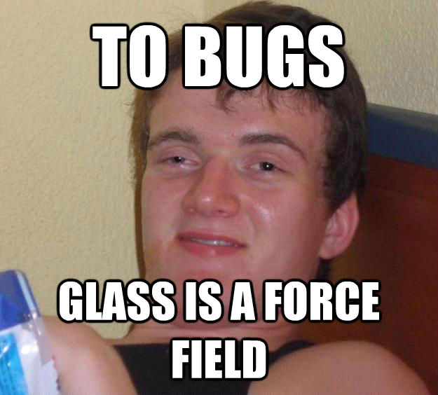TO BUGS GLASS IS A FORCE FIELD  10 Guy