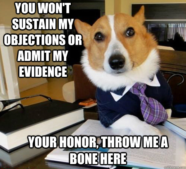 you won't sustain my objections or admit my evidence your honor, throw me a bone here - you won't sustain my objections or admit my evidence your honor, throw me a bone here  Lawyer Dog