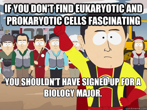if you don't find eukaryotic and prokaryotic cells fascinating you shouldn't have signed up for a biology major.  Captain Hindsight