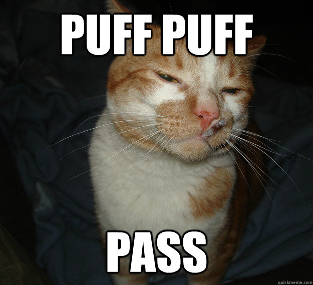 Puff puff pass  Cool Cat Craig