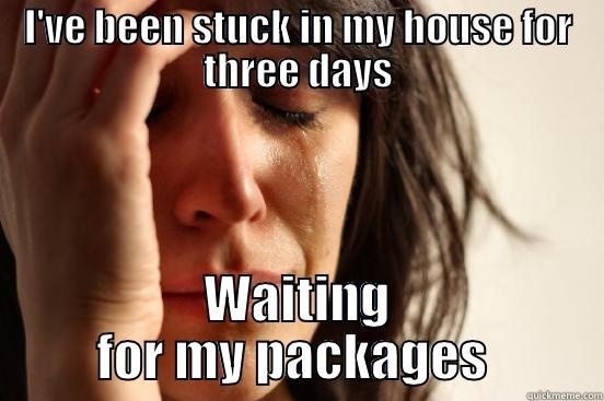 I'VE BEEN STUCK IN MY HOUSE FOR THREE DAYS WAITING FOR MY PACKAGES  First World Problems