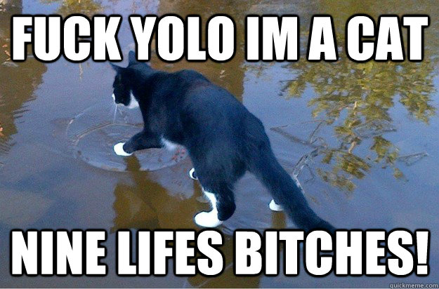 fuck yolo im a cat nine lifes bitches!  Jesus Cat