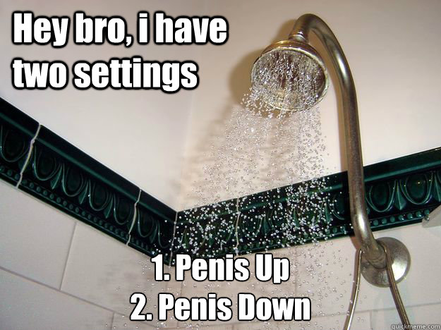 Hey bro, i have two settings 1. Penis Up
2. Penis Down  scumbag shower