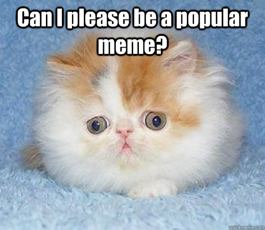 Can I please be a popular meme?   