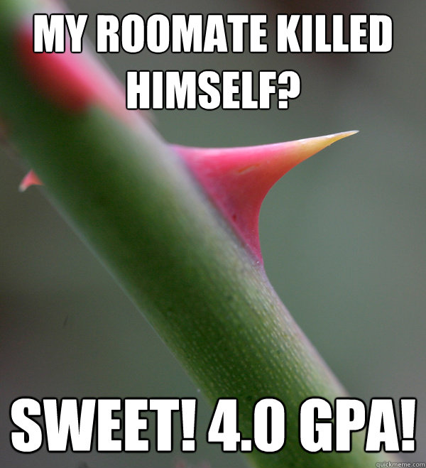 My roomate killed himself? Sweet! 4.0 GPA!  Self Important Prick