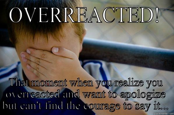 OVERREACTED! THAT MOMENT WHEN YOU REALIZE YOU OVERREACTED AND WANT TO APOLOGIZE BUT CAN'T FIND THE COURAGE TO SAY IT... Confession kid