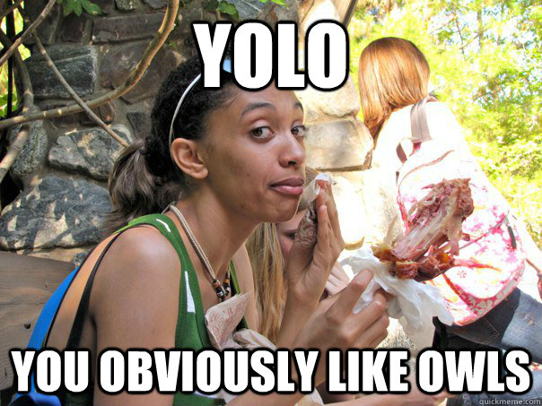 YOLO You obviously like owls - YOLO You obviously like owls  Strong Independent Black Woman