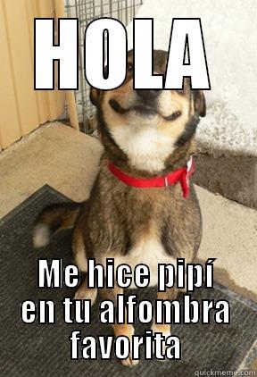 HOLA ME HICE PIPÍ EN TU ALFOMBRA FAVORITA Good Dog Greg