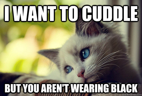 I want to cuddle but you aren't wearing black  First World Problems Cat
