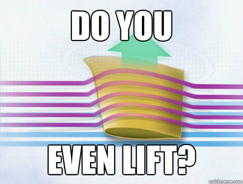 DO YOU EVEN LIFT? - DO YOU EVEN LIFT?  Do you even lift