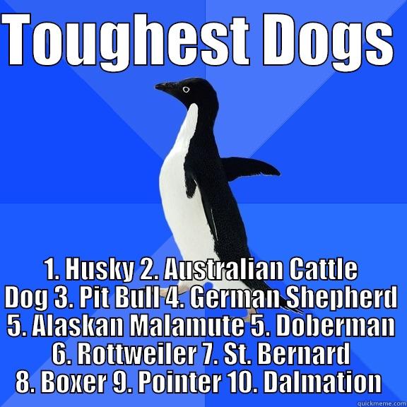 TOUGHEST DOGS  1. HUSKY 2. AUSTRALIAN CATTLE DOG 3. PIT BULL 4. GERMAN SHEPHERD 5. ALASKAN MALAMUTE 5. DOBERMAN 6. ROTTWEILER 7. ST. BERNARD 8. BOXER 9. POINTER 10. DALMATION  Socially Awkward Penguin