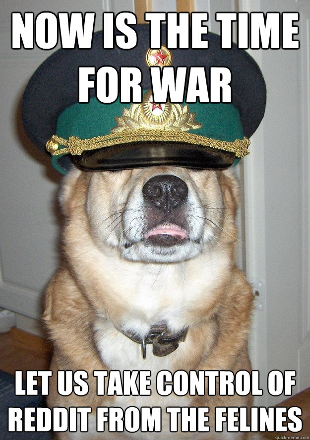 Now is the time for war let us take control of reddit from the felines - Now is the time for war let us take control of reddit from the felines  General Dog