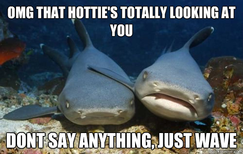 OMG that hottie's totally looking at you dont say anything, just wave  Compassionate Shark Friend