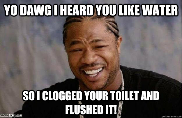 Yo Dawg I heard you like water So I clogged your toilet and flushed it!  