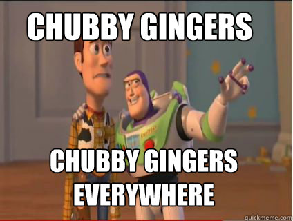 Chubby Gingers Chubby Gingers Everywhere  woody and buzz