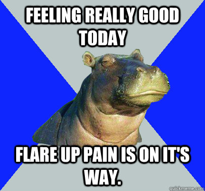 Feeling really good today Flare up pain is on it's way.  Skeptical Hippo