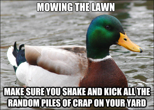 Mowing the lawn Make sure you shake and kick all the random piles of crap on your yard  Actual Advice Mallard