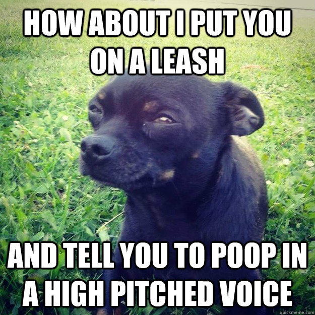 How about i put you on a leash and tell you to poop in a high pitched voice  Skeptical Dog