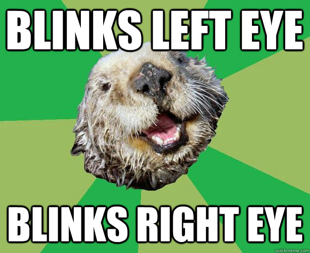 Blinks left eye blinks right eye  OCD Otter