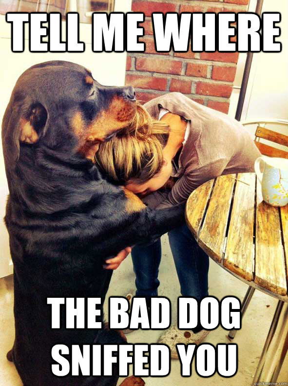 Tell me where the bad dog sniffed you There There quickmeme