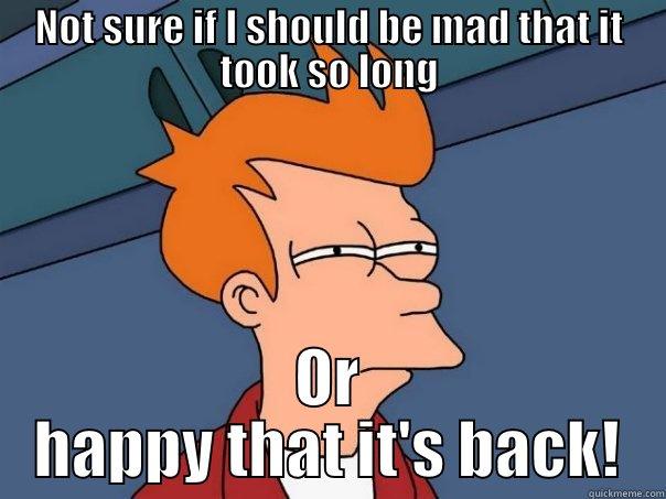 NOT SURE IF I SHOULD BE MAD THAT IT TOOK SO LONG OR HAPPY THAT IT'S BACK! Futurama Fry