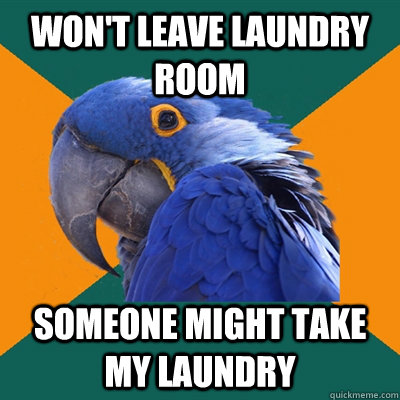 won't leave laundry room someone might take my laundry  Paranoid Parrot