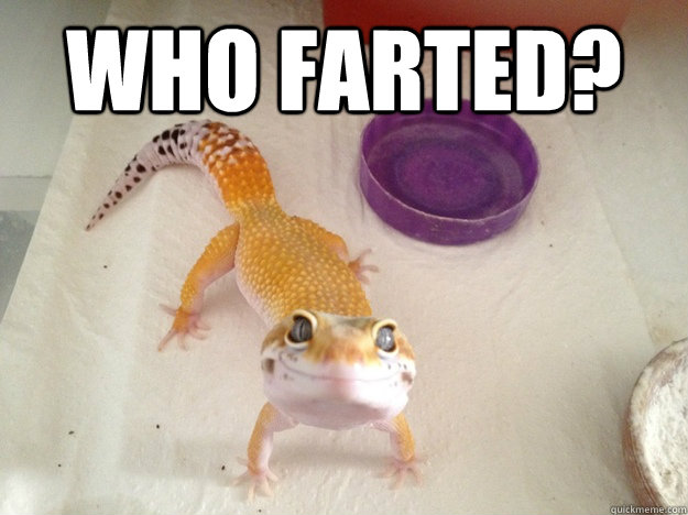 who farted?    