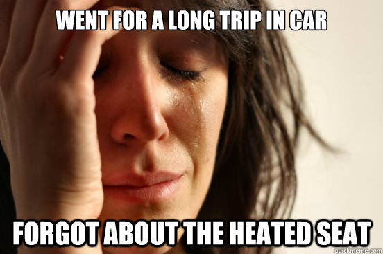 Went for a long trip in car Forgot about the heated seat  - Went for a long trip in car Forgot about the heated seat   First World Problems