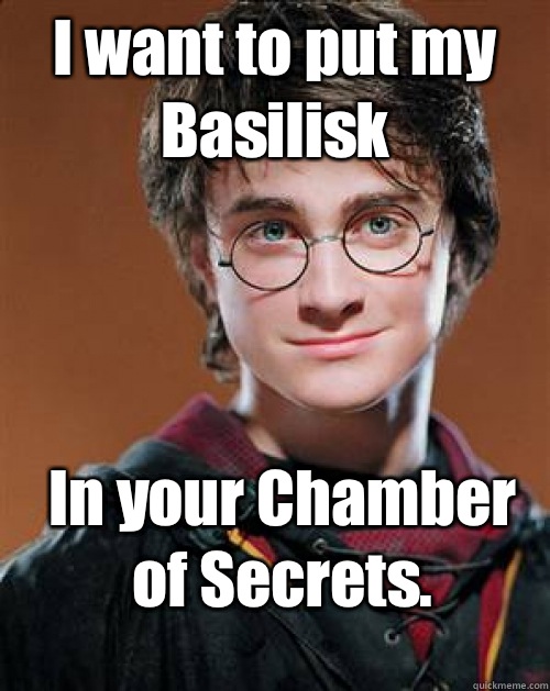 I want to put my Basilisk In your Chamber of Secrets.   