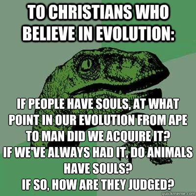 to Christians who believe in evolution: If people have souls, at what point in our evolution from ape to man did we acquire it?
If we've always had it, do animals have souls?
If so, how are they judged?  