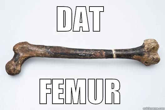 DAT FEMUR Misc
