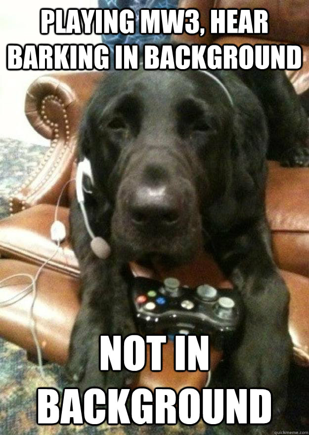 Playing Mw3, hear barking in background Not in background  Dog playing MW3