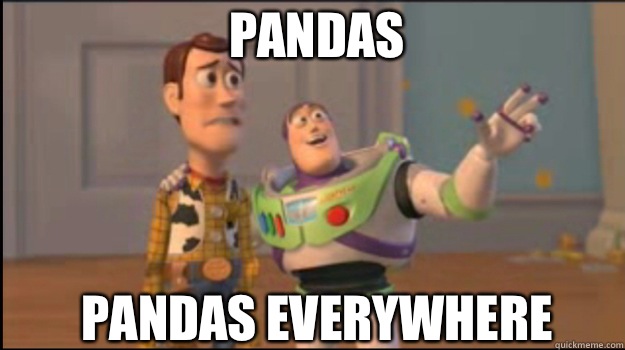 Pandas Pandas everywhere  Buzz and Woody