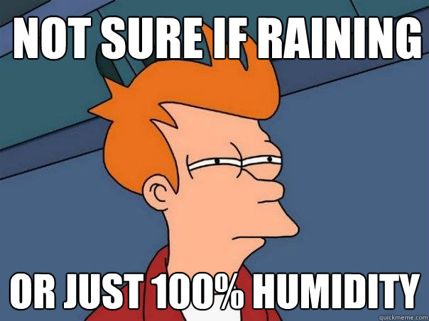 not sure if raining or just 100% humidity - not sure if raining or just 100% humidity  Futurama Fry