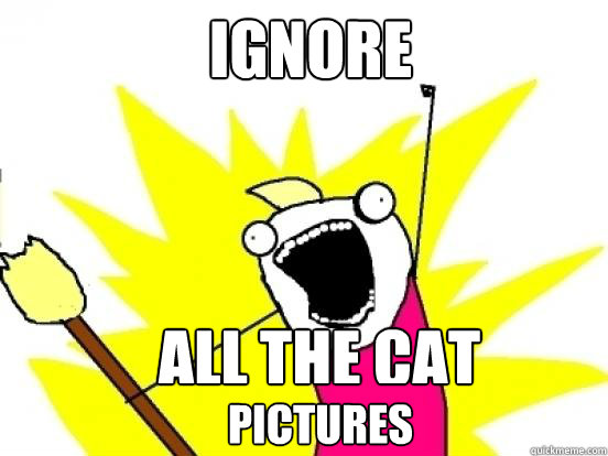 ignore all the cat  pictures  X All The Things