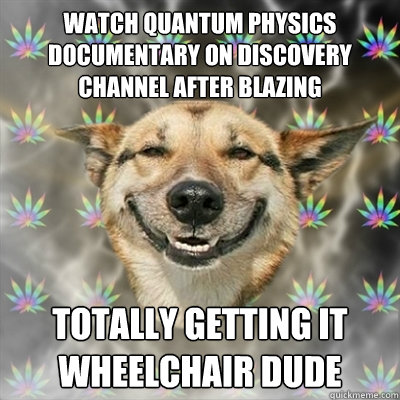 watch quantum physics documentary on discovery channel after blazing totally getting it wheelchair dude  Stoner Dog