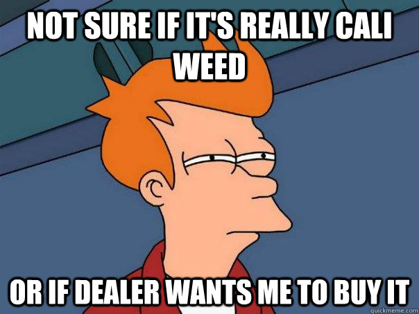 not sure if it's really cali weed or if dealer wants me to buy it - not sure if it's really cali weed or if dealer wants me to buy it  Futurama Fry