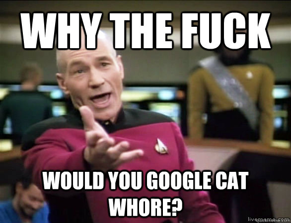 why the fuck Would you google cat whore?  Annoyed Picard HD