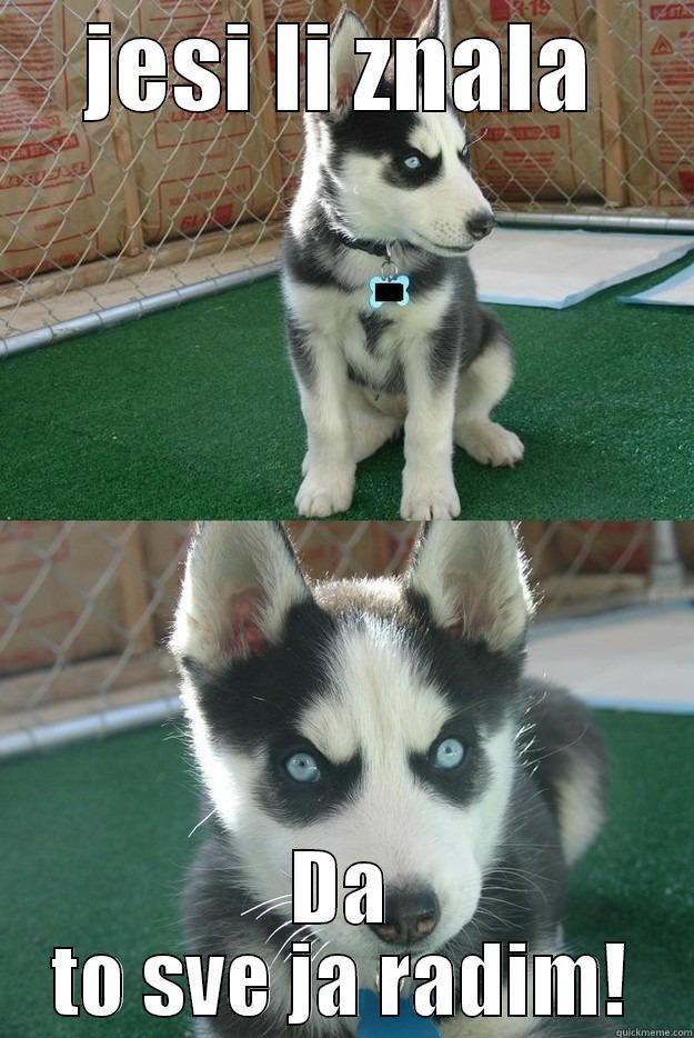 JESI LI ZNALA DA TO SVE JA RADIM! Insanity puppy