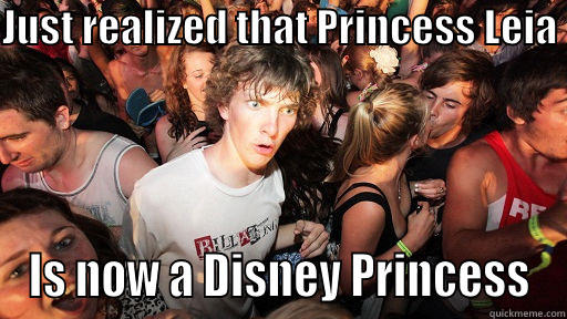 JUST REALIZED THAT PRINCESS LEIA   IS NOW A DISNEY PRINCESS Sudden Clarity Clarence