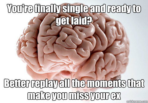 You're finally single and ready to get laid? Better replay all the moments that make you miss your ex  Scumbag Brain