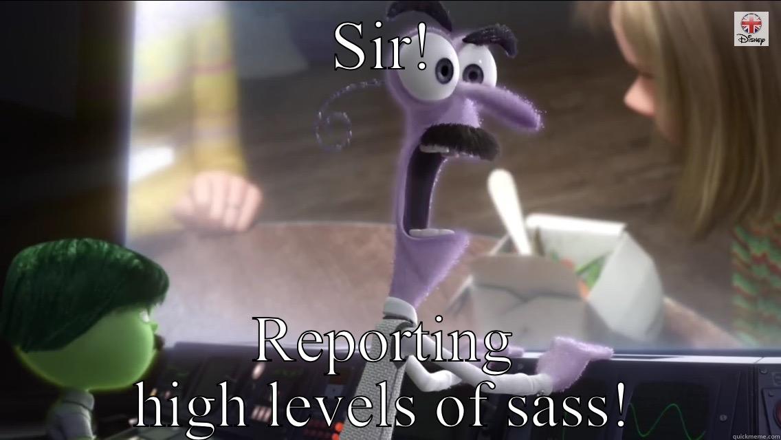 SIR! REPORTING HIGH LEVELS OF SASS! Misc