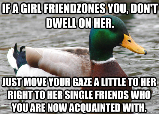 If a girl friendzones you, don't dwell on her. Just move your gaze a little to her right to her single friends who you are now acquainted with.  Actual Advice Mallard