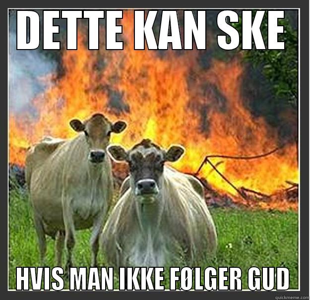DETTE KAN SKE HVIS MAN IKKE FØLGER GUD Evil cows
