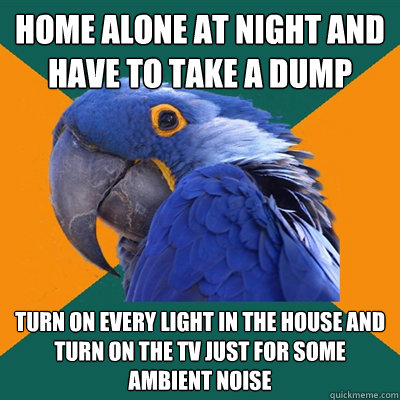 home alone at night and have to take a dump turn on every light in the house and turn on the TV just for some ambient noise  Paranoid Parrot