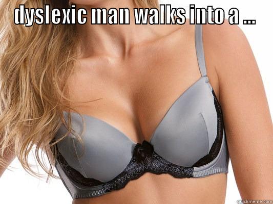 DYSLEXIC MAN WALKS INTO A ...  Misc