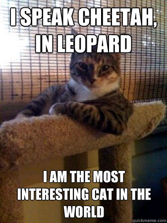 I speak cheetah, in leopard I am the most interesting cat in the world  The Most Interesting Cat in the World