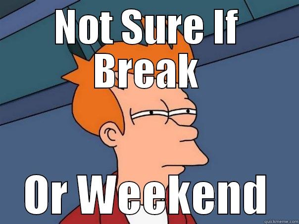 NOT SURE IF BREAK OR WEEKEND Futurama Fry