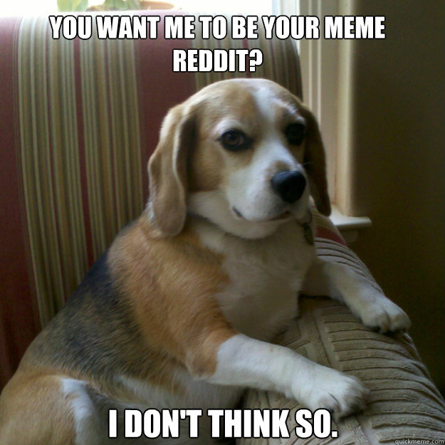 you want me to be your meme reddit? I don't think so.  judgmental dog