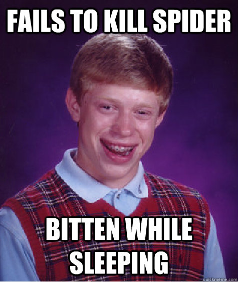 Fails to kill spider Bitten while sleeping  Bad Luck Brian